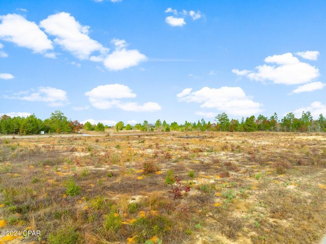 1 Challenger Blvd, Home with 0 bedrooms, 0 bathrooms and null parking in Chipley FL | Image 4