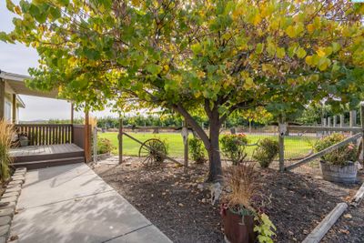 1806 E Frontier Pr Ne, Home with 3 bedrooms, 2 bathrooms and null parking in Benton City WA | Image 3