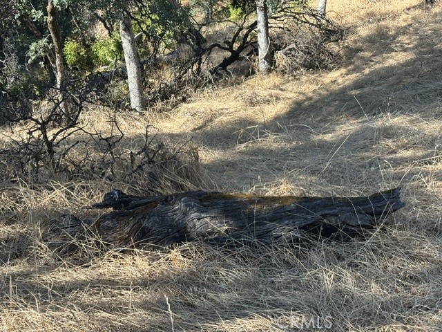 Land in Cottonwood 4
