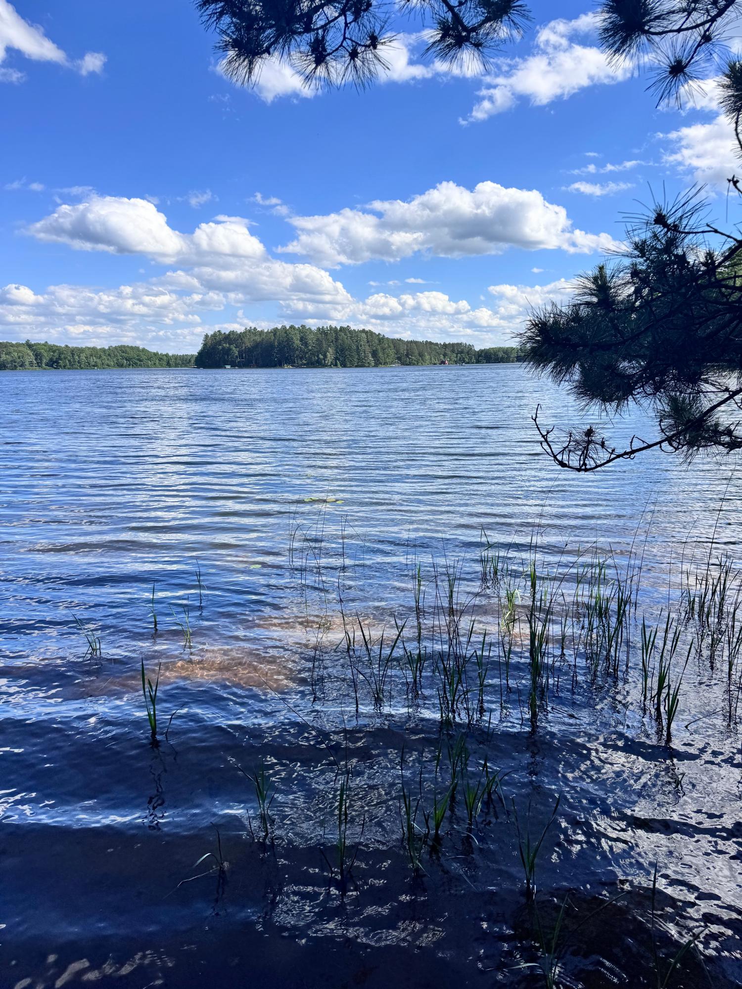 Land in Minocqua 3