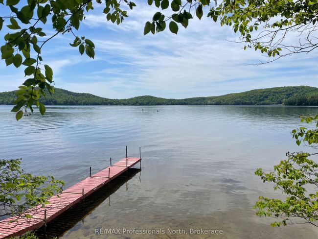1174 Seabreeze Rd, House other with 2 bedrooms, 1 bathrooms and 4 parking in Dwight ON | Image 22