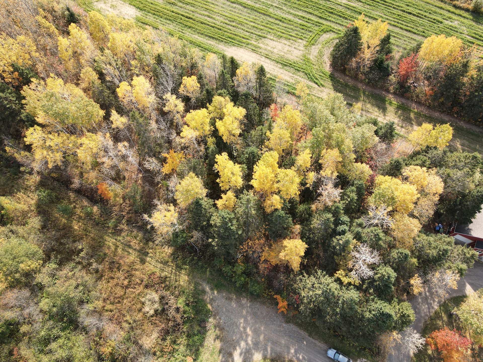 Land in Saint-Gabriel-Lalemant 3