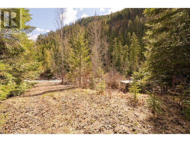 DL 10612 Highway 3, Home with 0 bedrooms, 0 bathrooms and null parking in Salmo BC | Image 39