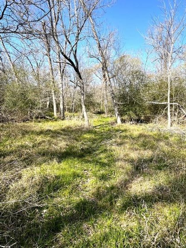 9870 N Leona Blvd, Home with 3 bedrooms, 2 bathrooms and null parking in Leona TX | Image 17