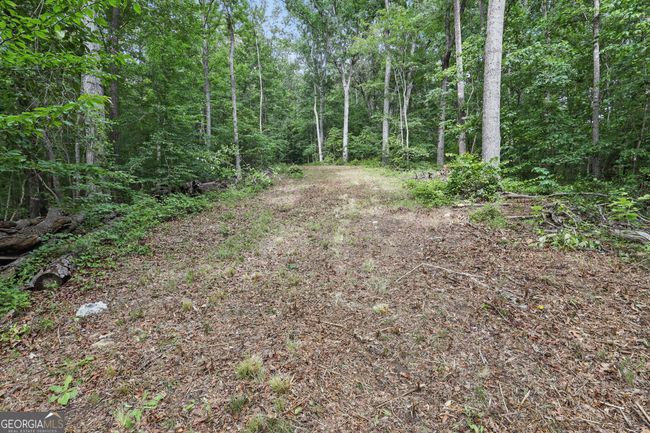 15 - 1323 Seven Forks Rd, Home with 0 bedrooms, 0 bathrooms and null parking in Martin GA | Image 7