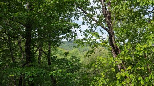 60 Pine Cone Ct, Sapphire, NC, 28774-4500 | Card Image