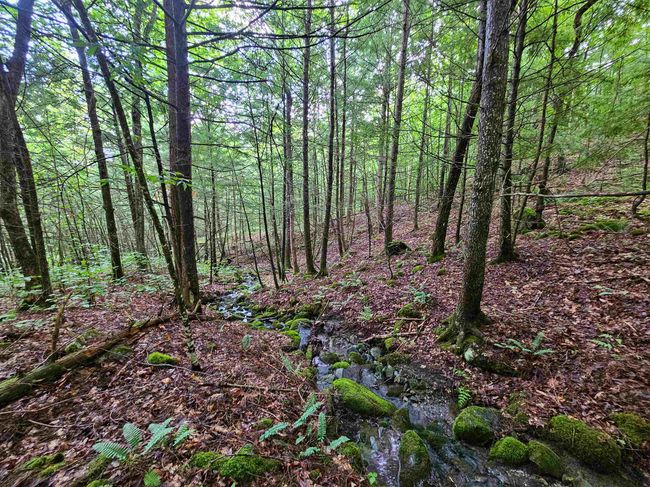 873 Royston Rdg, House other with 2 bedrooms, 0 bathrooms and null parking in Wells River VT | Image 17
