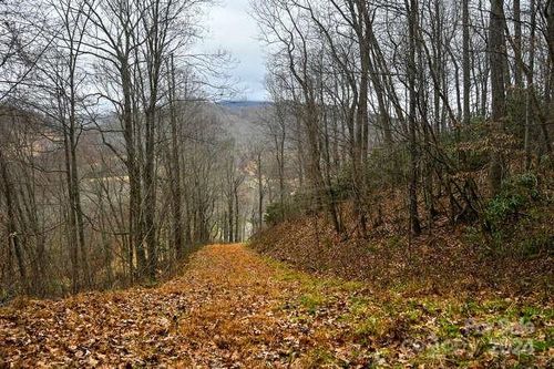 19-19 Flowing Hills Dr, Clyde, NC, 28721 | Card Image