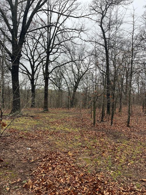 TBD S 660 Rd, Quapaw, OK, 74363 | Card Image