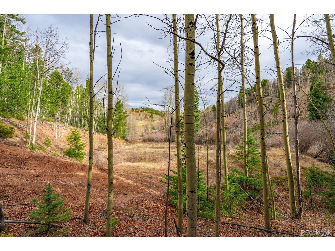 Land in Cripple Creek 5