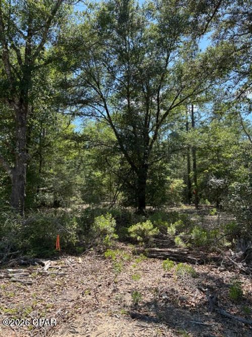 m2-b3-0 Pasofino Ln, Alford, FL, 32420 | Card Image
