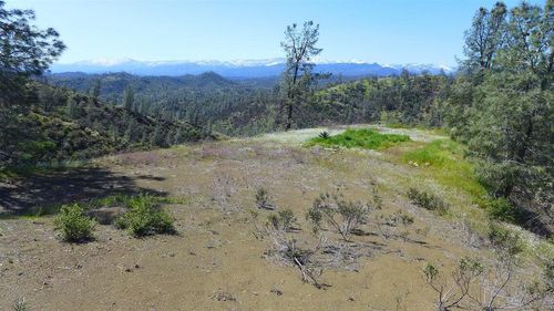 Lot 163 Cottonwood Creek Rd, Igo, CA, 96047 | Card Image