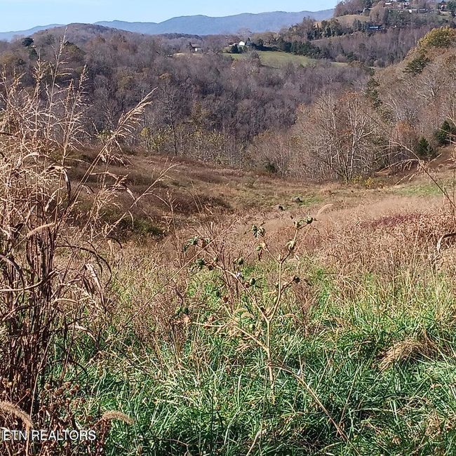 9 King Bend Rd, Home with 0 bedrooms, 0 bathrooms and null parking in Cumberland Gap TN | Image 5