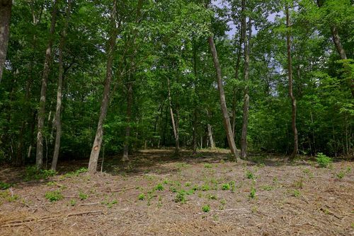 770 Overlook Dr, Spencer, TN, 38585 | Card Image