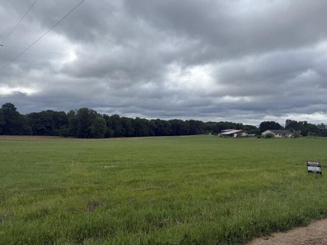 Land in Grand Rapids 2