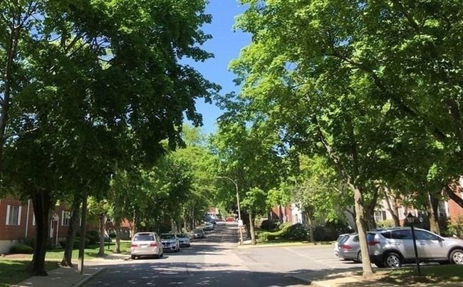 APT-2 - 211 Lake Shore Rd, Condo with 2 bedrooms, 1 bathrooms and 1 parking in Boston MA | Image 13