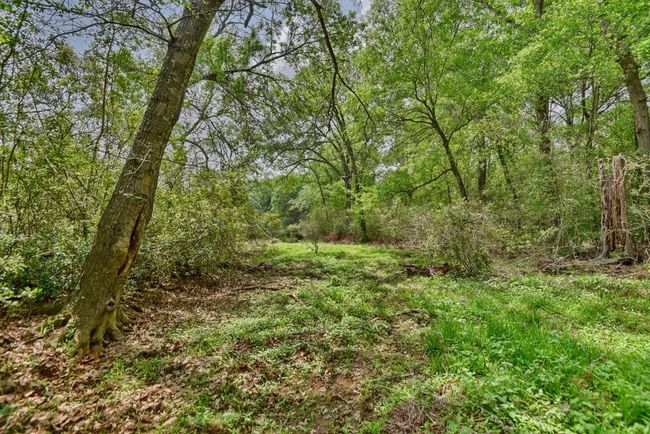 View of nature featuring a forest view | Image 25