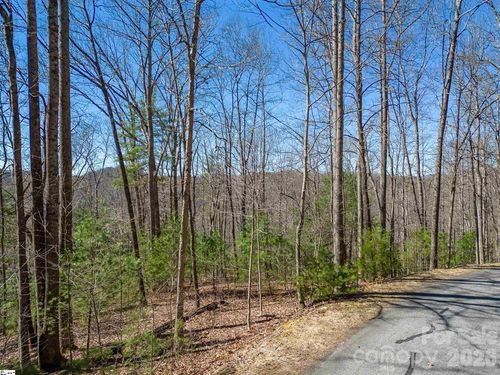51-132 Overlook Park Dr, Hendersonville, NC, 28792-6484 | Card Image