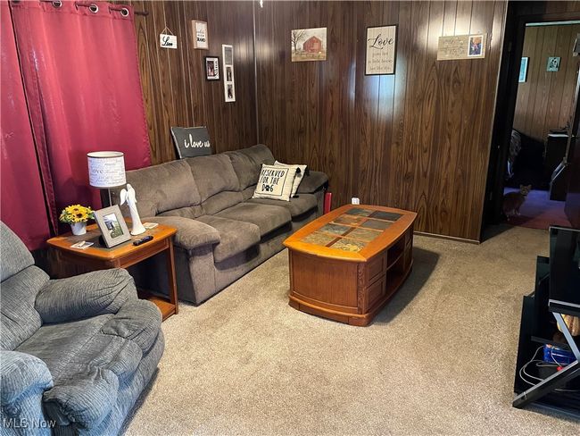 Living room featuring wood walls and light colored carpet | Image 9