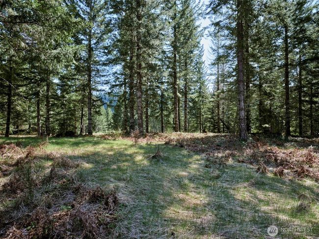 Acreage | Image 17