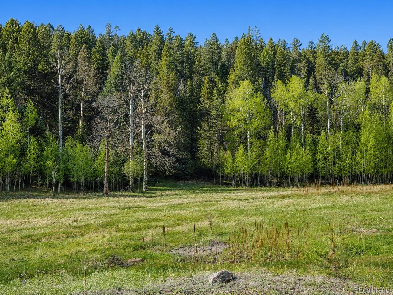 Land in Westcliffe 5