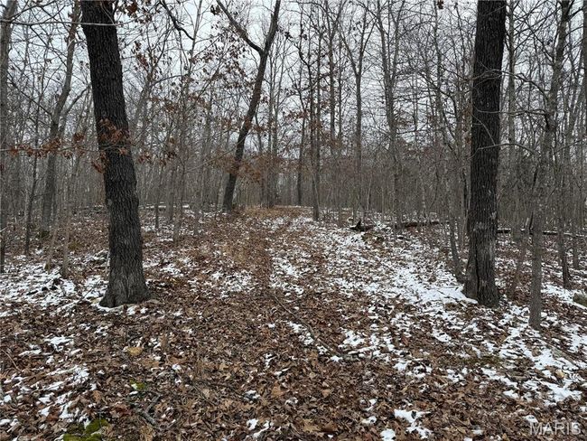 2 Bcr 924, Home with 0 bedrooms, 0 bathrooms and null parking in Patton MO | Image 6
