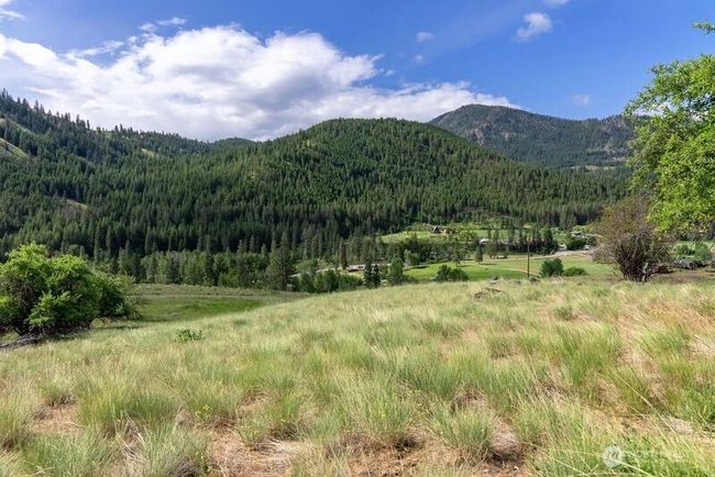 Bench area level ground has bunch grass and balsamroot wildflowers along with vintage apple trees that watch the Mountain scene. | Image 16