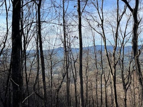 Lot 73 Hidden Treasure Estate, Murphy, NC, 28906 | Card Image