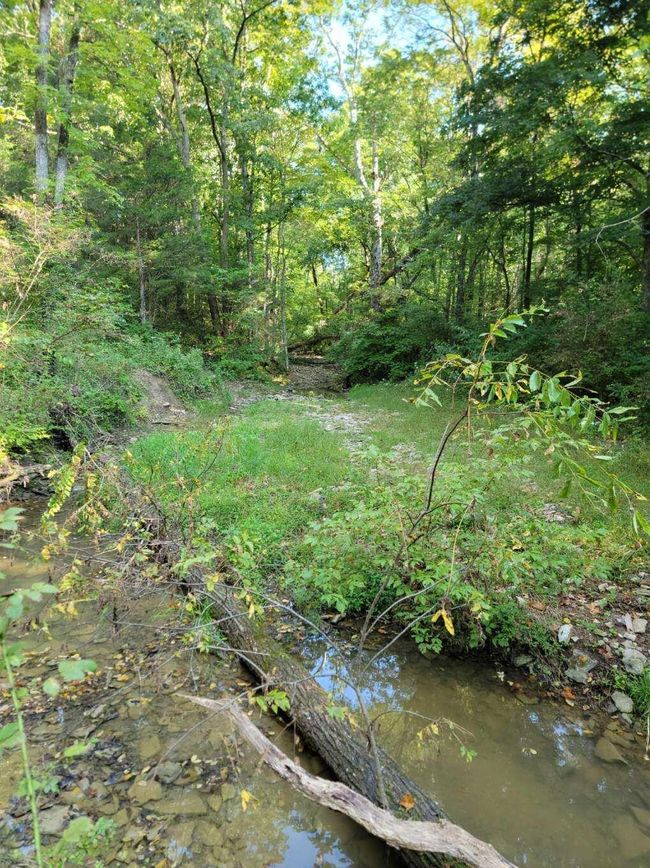 15711 Pfanstiel Rd, Home with 0 bedrooms, 0 bathrooms and null parking in Demossville KY | Image 6