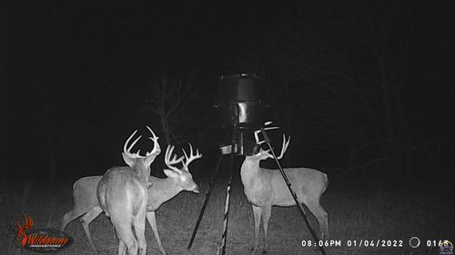 00000 Shawnee Heights Rd, Quenemo, KS, 66528 | Card Image
