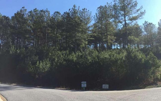 LOT-3 - 0 Pinehurst, Home with 0 bedrooms, 0 bathrooms and null parking in Blairsville GA | Image 5