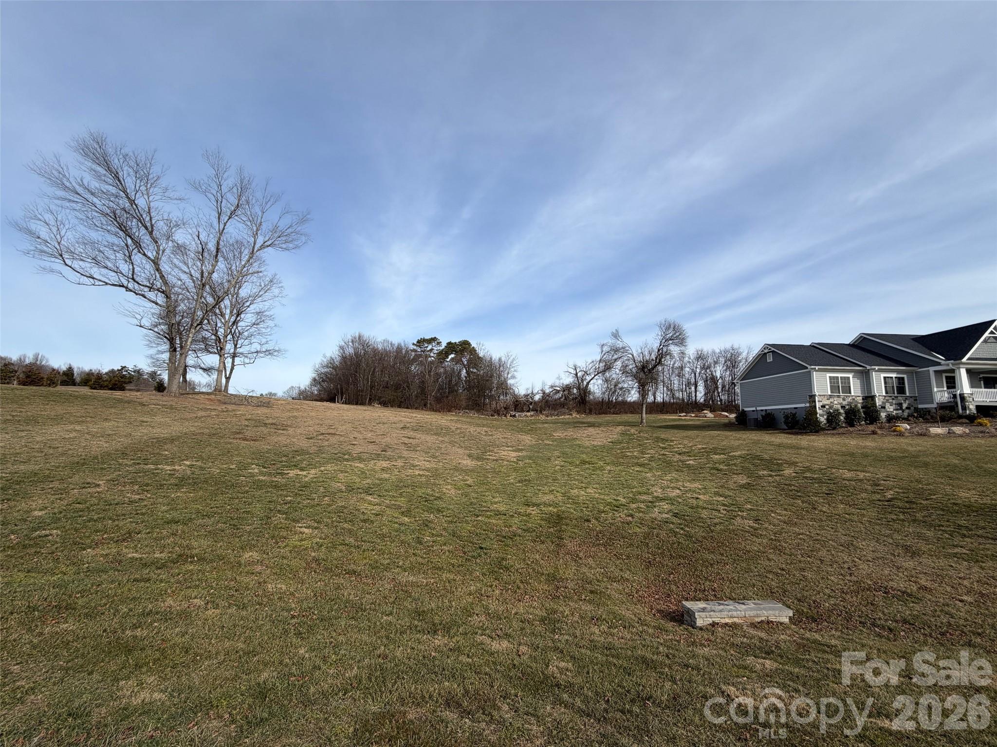 Land in Mills River 3