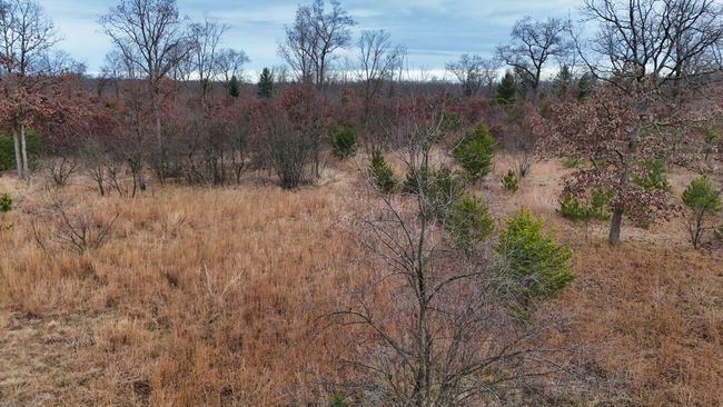 3726 N Custer Rd, Home with 0 bedrooms, 0 bathrooms and null parking in Manistee MI | Image 22