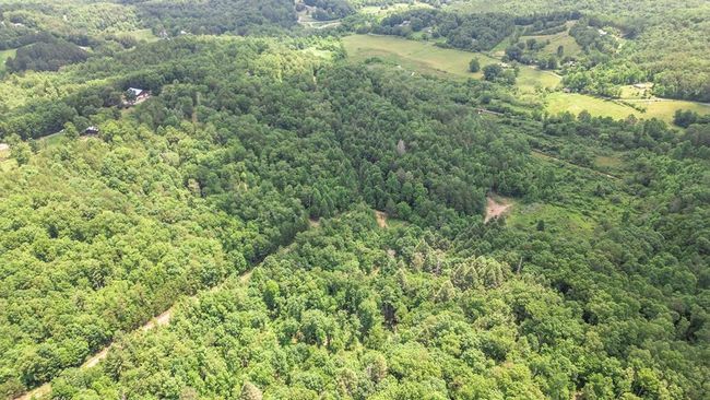Lot 4 Megan Trace Ln, Home with 0 bedrooms, 0 bathrooms and null parking in Turtletown TN | Image 23