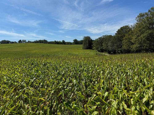 258.65 Acres County Road G Etc, Bear Creek, WI, 53937 | Card Image