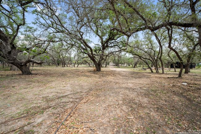 157 County Road 6816, House other with 4 bedrooms, 2 bathrooms and null parking in Natalia TX | Image 28