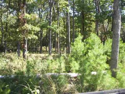 Lot 6 East Shore Dr., Home with 0 bedrooms, 0 bathrooms and null parking in Drasco AR | Image 2