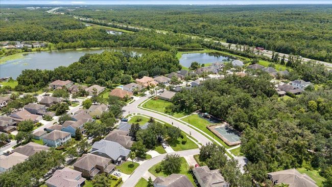 20020 Outpost Point Dr, House other with 4 bedrooms, 3 bathrooms and null parking in TAMPA FL | Image 77