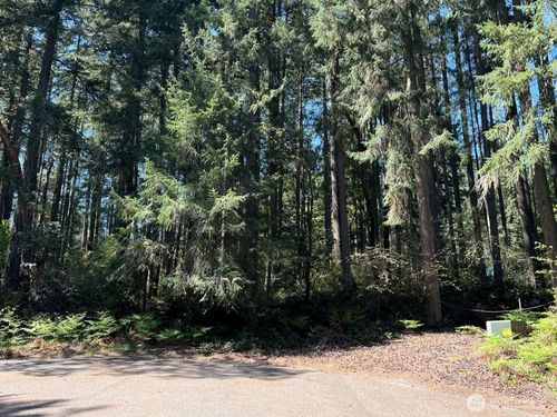 11410 103rd Street, Anderson Island, WA, 98303 | Card Image