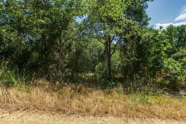 649 Kaukonahua Ln, Home with 0 bedrooms, 0 bathrooms and null parking in Bastrop TX | Image 5