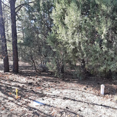 3321 Mariposa Ln, Show Low, AZ, 85901-7598 | Card Image