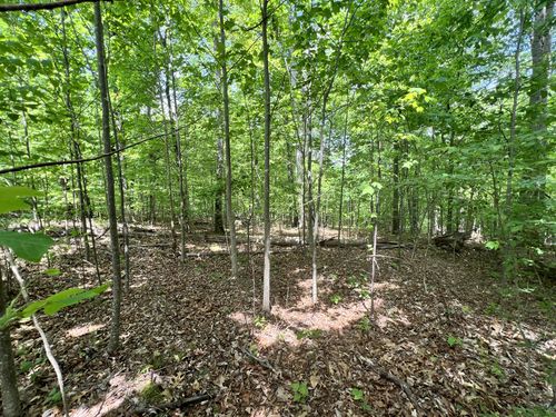 0 Sarvis Ridge Rd, Normandy, TN, 37360 | Card Image