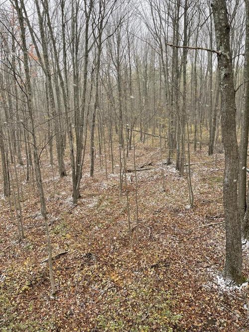 N4812 Spur Five Road, JUMP RIVER, WI, 54766 | Card Image