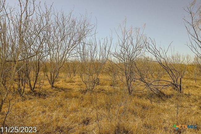 4 Us Hwy 85 Street, Home with 0 bedrooms, 0 bathrooms and null parking in Dilley TX | Image 8
