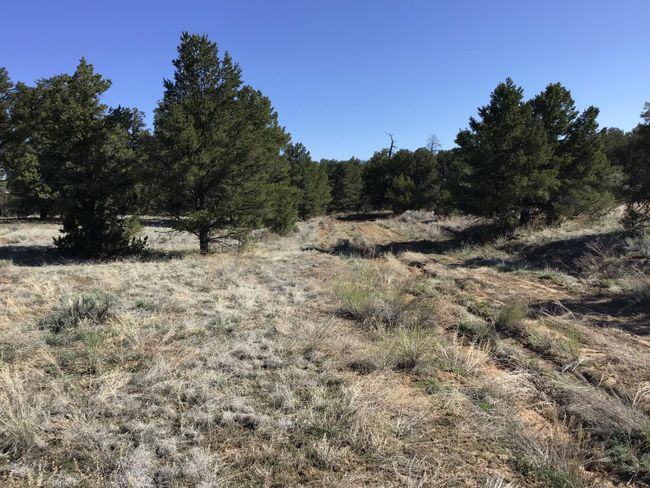 Lot 7 Red Fox Road, Home with 0 bedrooms, 0 bathrooms and null parking in Ramah NM | Image 4