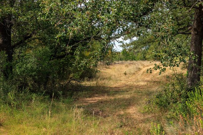 5 - 0B Ranch Road 1323, Home with 0 bedrooms, 0 bathrooms and null parking in Willow City TX | Image 16