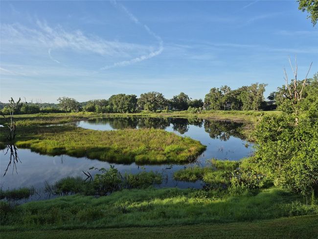 Water views | Image 36