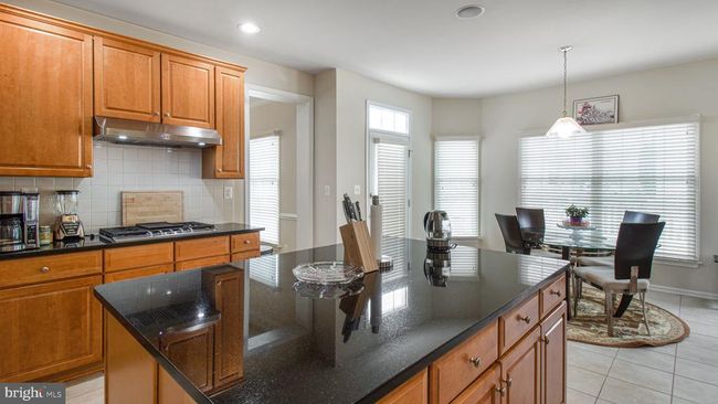 22677 Cricket Hill Ct, House other with 4 bedrooms, 5 bathrooms and null parking in ASHBURN VA | Image 9