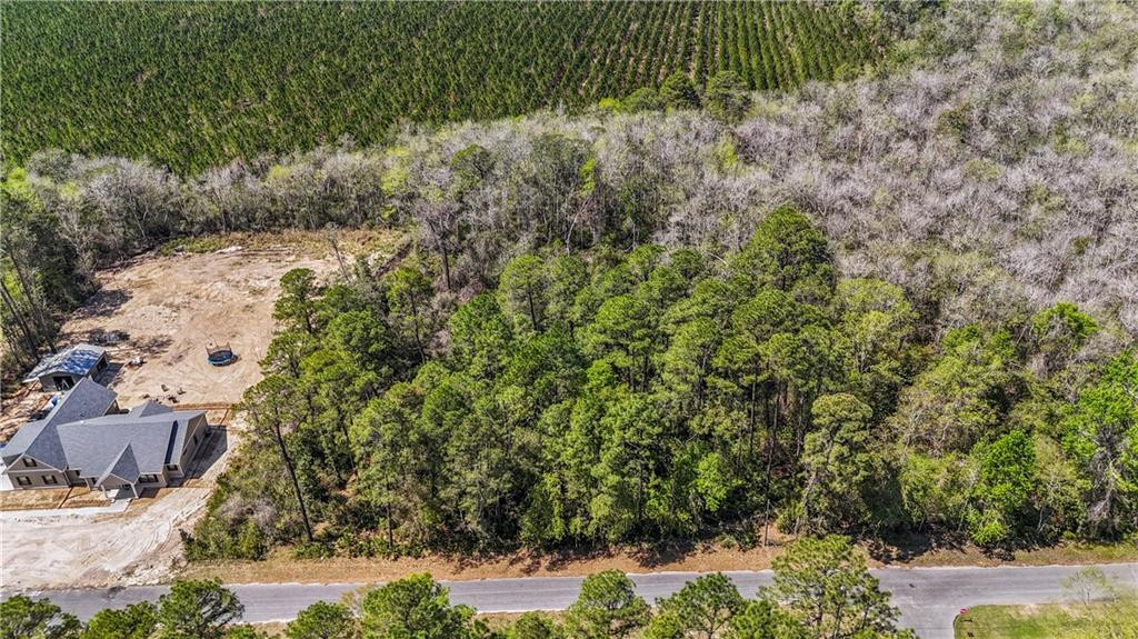 Land in Jesup