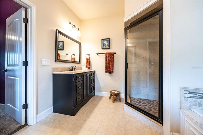 Master Bathroom | Image 24